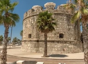 World Chess Festival